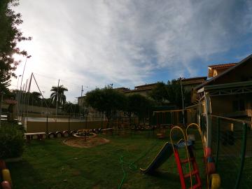 Alugar Apartamento / Padr&atilde;o em S&atilde;o Jos&eacute; do Rio Preto R$ 800,00 - Foto 22