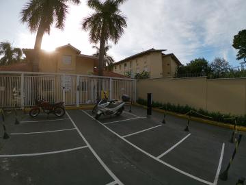 Alugar Apartamento / Padr&atilde;o em S&atilde;o Jos&eacute; do Rio Preto R$ 800,00 - Foto 15
