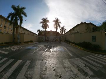 Alugar Apartamento / Padr&atilde;o em S&atilde;o Jos&eacute; do Rio Preto R$ 800,00 - Foto 14