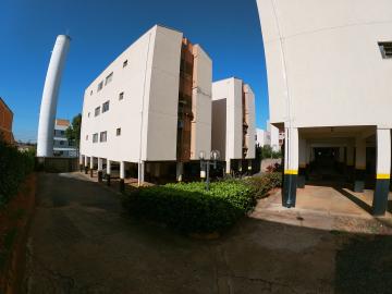 Alugar Apartamento / Padr&atilde;o em S&atilde;o Jos&eacute; do Rio Preto R$ 880,00 - Foto 15