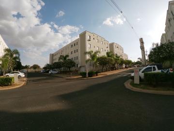 Alugar Apartamento / Padr&atilde;o em S&atilde;o Jos&eacute; do Rio Preto R$ 1.300,00 - Foto 19