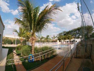 Alugar Apartamento / Padr&atilde;o em S&atilde;o Jos&eacute; do Rio Preto R$ 1.300,00 - Foto 23