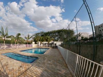 Alugar Apartamento / Padr&atilde;o em S&atilde;o Jos&eacute; do Rio Preto R$ 1.300,00 - Foto 24