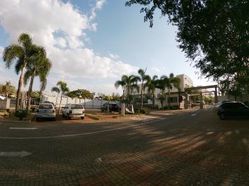 Alugar Apartamento / Padr&atilde;o em S&atilde;o Jos&eacute; do Rio Preto R$ 1.300,00 - Foto 25