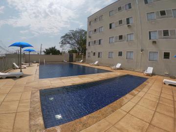 Alugar Apartamento / Padr&atilde;o em S&atilde;o Jos&eacute; do Rio Preto R$ 850,00 - Foto 14