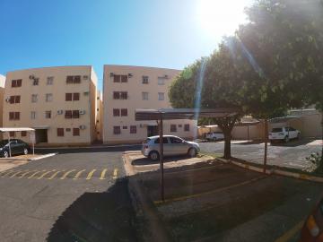 Alugar Apartamento / Padr&atilde;o em S&atilde;o Jos&eacute; do Rio Preto R$ 600,00 - Foto 17