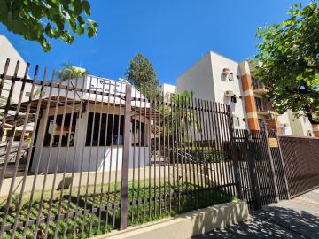 Alugar Apartamento / Padr&atilde;o em S&atilde;o Jos&eacute; do Rio Preto R$ 1.200,00 - Foto 13