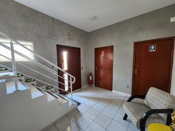 Alugar Apartamento / Padr&atilde;o em S&atilde;o Jos&eacute; do Rio Preto R$ 1.570,00 - Foto 21