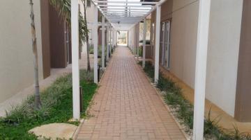 Alugar Apartamento / Padr&atilde;o em S&atilde;o Jos&eacute; do Rio Preto R$ 2.500,00 - Foto 51