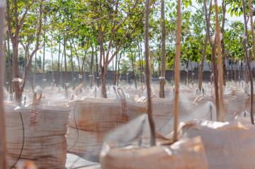 Comprar Terreno / Condom&iacute;nio em S&atilde;o Jos&eacute; do Rio Preto - Foto 29