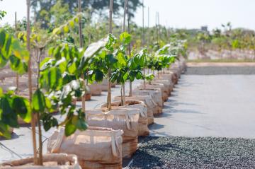 Comprar Terreno / Condom&iacute;nio em S&atilde;o Jos&eacute; do Rio Preto - Foto 28