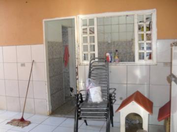 Alugar Casa / Padr&atilde;o em S&atilde;o Jos&eacute; do Rio Preto R$ 900,00 - Foto 5