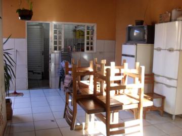 Alugar Casa / Padr&atilde;o em S&atilde;o Jos&eacute; do Rio Preto R$ 900,00 - Foto 7