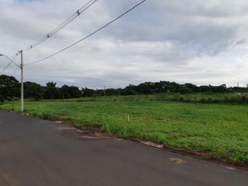 Comprar Terreno / &Aacute;rea em Bady Bassitt R$ 4.300.000,00 - Foto 3