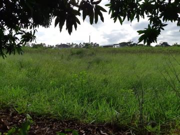 Comprar Terreno / &Aacute;rea em Bady Bassitt R$ 4.300.000,00 - Foto 6