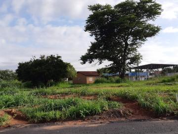 Comprar Terreno / &Aacute;rea em Bady Bassitt R$ 4.300.000,00 - Foto 7