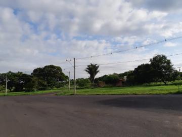 Comprar Terreno / &Aacute;rea em Bady Bassitt R$ 4.300.000,00 - Foto 8