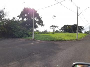 Comprar Terreno / &Aacute;rea em Bady Bassitt R$ 4.300.000,00 - Foto 10