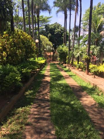 Comprar Rural / Ch&aacute;cara em S&atilde;o Jos&eacute; do Rio Preto R$ 2.200.000,00 - Foto 13