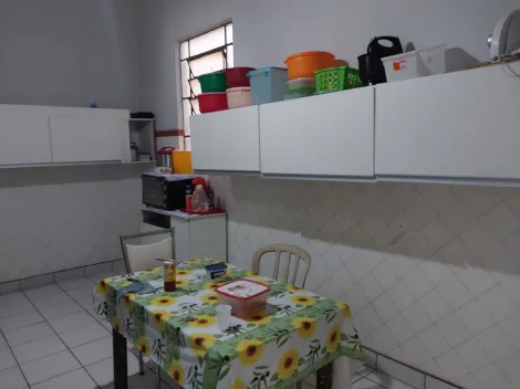 Alugar Casa / Padr&atilde;o em S&atilde;o Jos&eacute; do Rio Preto R$ 1.250,00 - Foto 10