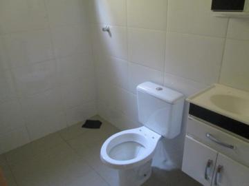 Comprar Casa / Padr&atilde;o em S&atilde;o Jos&eacute; do Rio Preto R$ 300.000,00 - Foto 5