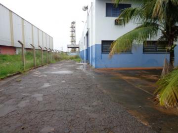 Comercial / Sal&atilde;o em S&atilde;o Jos&eacute; do Rio Preto 