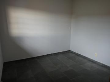 Alugar Casa / Sobrado em S&atilde;o Jos&eacute; do Rio Preto R$ 1.200,00 - Foto 5