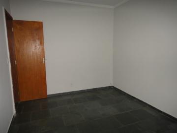 Alugar Casa / Sobrado em S&atilde;o Jos&eacute; do Rio Preto R$ 1.200,00 - Foto 6