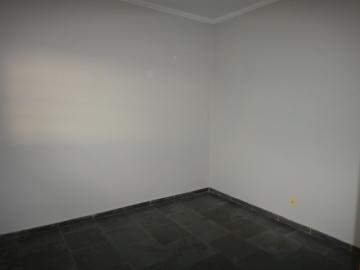 Alugar Casa / Sobrado em S&atilde;o Jos&eacute; do Rio Preto R$ 1.200,00 - Foto 7