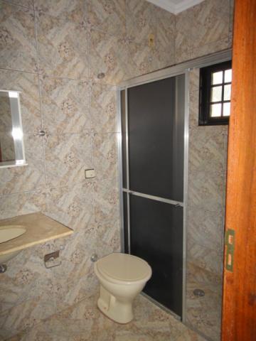 Alugar Casa / Sobrado em S&atilde;o Jos&eacute; do Rio Preto R$ 1.200,00 - Foto 11