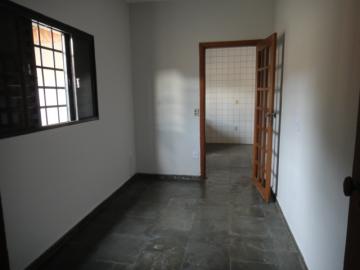 Alugar Casa / Sobrado em S&atilde;o Jos&eacute; do Rio Preto R$ 1.200,00 - Foto 41
