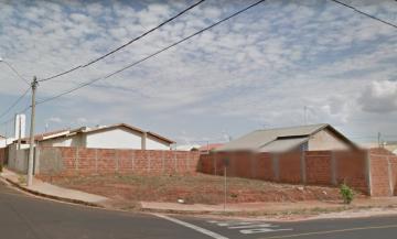 Terreno / Padr&atilde;o em S&atilde;o Jos&eacute; do Rio Preto 