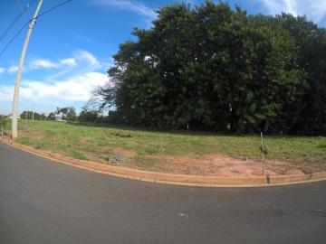 Comprar Terreno / Padr&atilde;o em Bady Bassitt R$ 96.000,00 - Foto 2