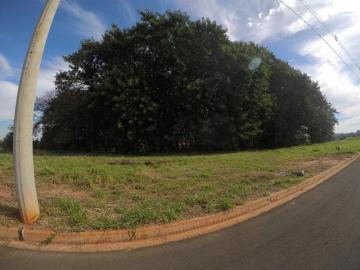 Comprar Terreno / Padr&atilde;o em Bady Bassitt R$ 96.000,00 - Foto 9