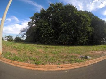 Comprar Terreno / Padr&atilde;o em Bady Bassitt R$ 96.000,00 - Foto 11