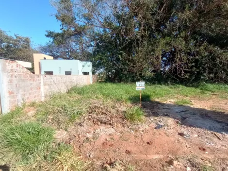 Comprar Terreno / Padr&atilde;o em Bady Bassitt R$ 96.000,00 - Foto 12