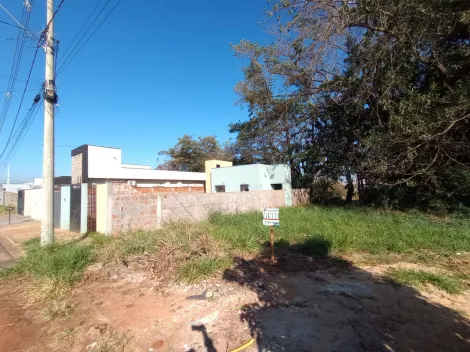Comprar Terreno / Padr&atilde;o em Bady Bassitt R$ 96.000,00 - Foto 13