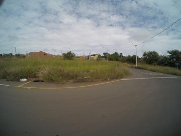 Alugar Terreno / Padr&atilde;o em S&atilde;o Jos&eacute; do Rio Preto. apenas R$ 215.000,00