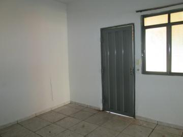 Alugar Casa / Padr&atilde;o em S&atilde;o Jos&eacute; do Rio Preto. apenas R$ 600,00
