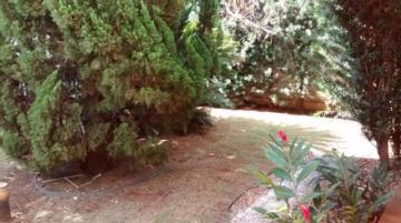 Comprar Comercial / Casa Comercial em S&atilde;o Jos&eacute; do Rio Preto R$ 5.500.000,00 - Foto 4