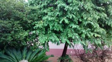 Comprar Comercial / Casa Comercial em S&atilde;o Jos&eacute; do Rio Preto R$ 5.500.000,00 - Foto 15