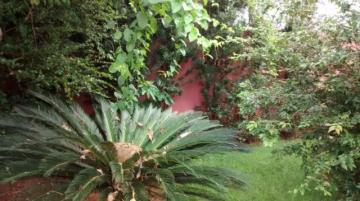 Comprar Comercial / Casa Comercial em S&atilde;o Jos&eacute; do Rio Preto R$ 5.500.000,00 - Foto 16