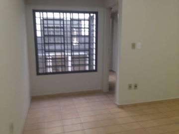 Alugar Comercial / Sal&atilde;o em S&atilde;o Jos&eacute; do Rio Preto R$ 2.800,00 - Foto 5