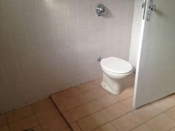 Alugar Comercial / Sal&atilde;o em S&atilde;o Jos&eacute; do Rio Preto R$ 2.800,00 - Foto 14