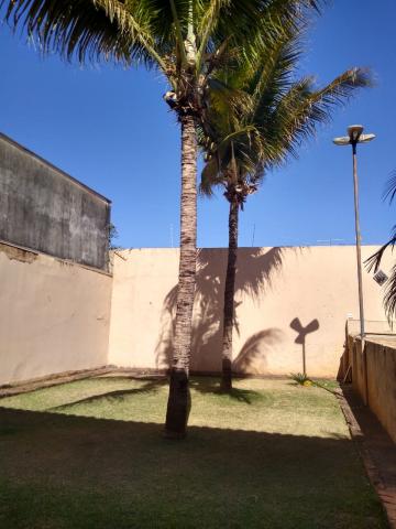 Comprar Casa / Padr&atilde;o em S&atilde;o Jos&eacute; do Rio Preto R$ 780.000,00 - Foto 5