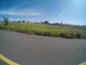 Alugar Terreno / Padr&atilde;o em S&atilde;o Jos&eacute; do Rio Preto. apenas R$ 210.000,00