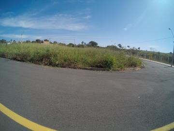 Comprar Terreno / Padr&atilde;o em S&atilde;o Jos&eacute; do Rio Preto R$ 210.000,00 - Foto 5