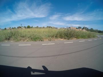 Alugar Terreno / Padr&atilde;o em S&atilde;o Jos&eacute; do Rio Preto. apenas R$ 210.000,00