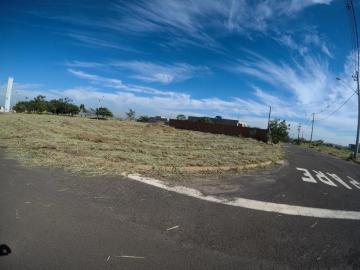 Comprar Terreno / Padr&atilde;o em Bady Bassitt R$ 130.000,00 - Foto 2