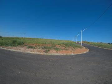 Comprar Terreno / Padr&atilde;o em S&atilde;o Jos&eacute; do Rio Preto R$ 215.000,00 - Foto 4